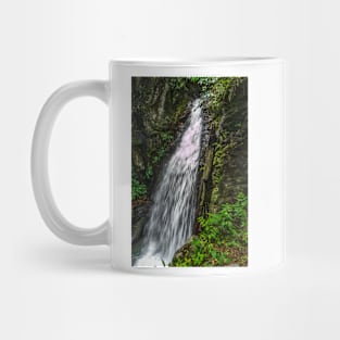 waterfall #1 Mug